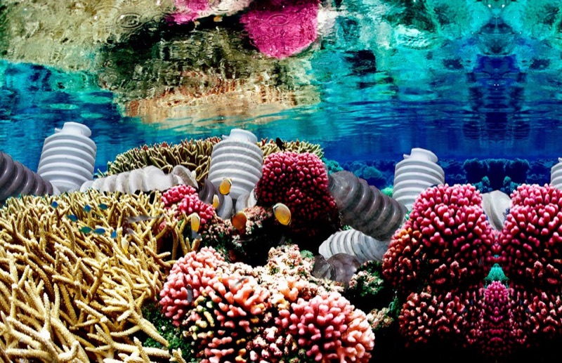 Is it possible to make an Artificial Reef out of Costa Rica’s Electrical Grid Waste?