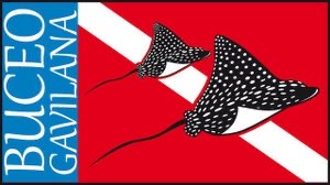 Buceo Gavilana Dive Centre