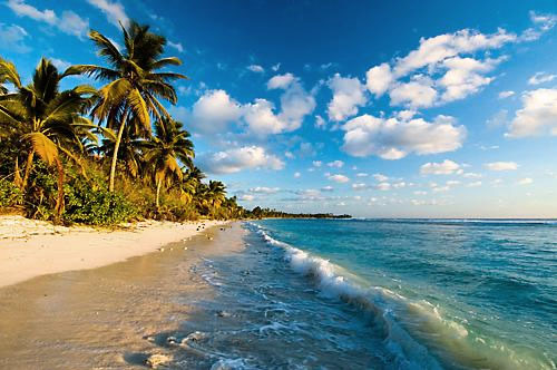 Scuba Diving Cocos Island in Costa Rica