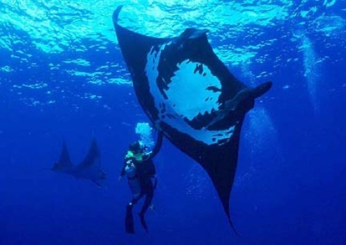 Costa Rica Adventure Divers