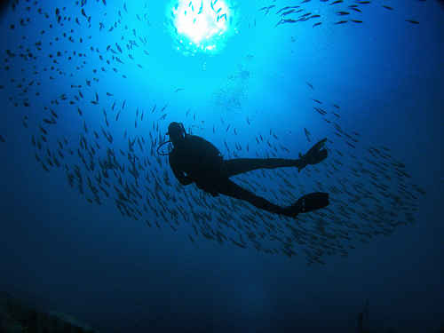 Deep Dive Certification – What is it?