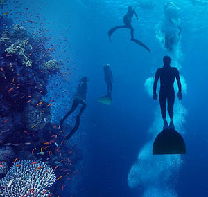 Freedive Costa Rica