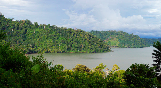 Gulf of Dulce