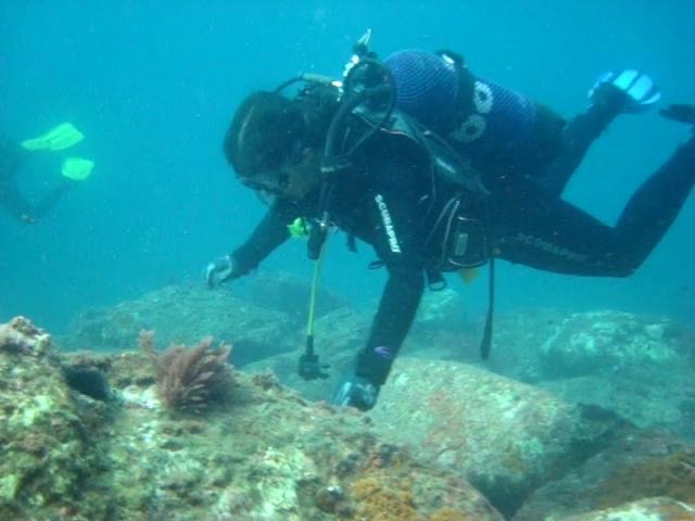 Herradura Divers
