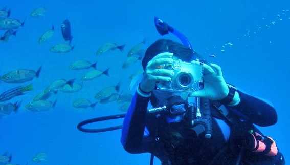 Mystic Dive Center