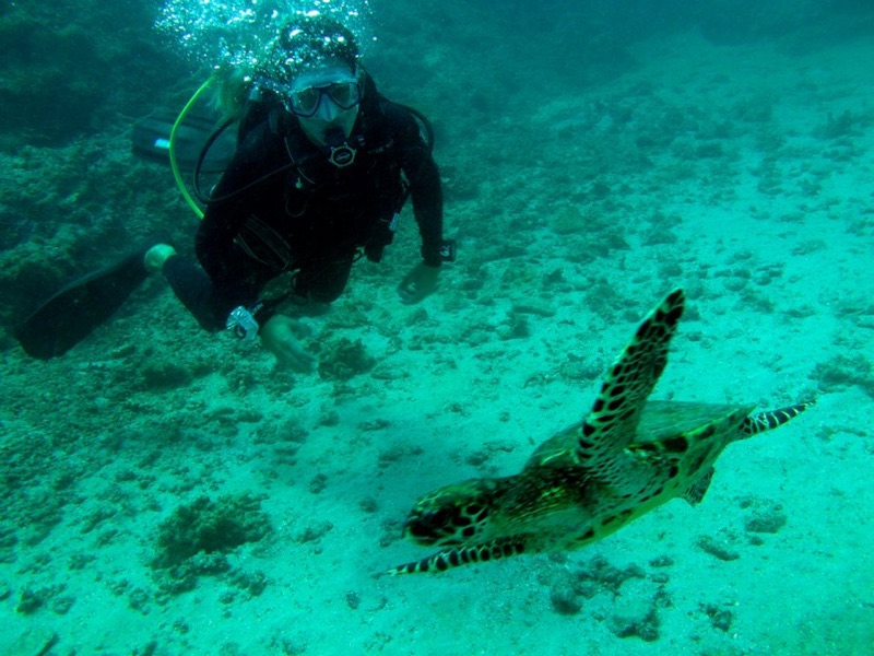 Oceans Unlimited Scuba Diving