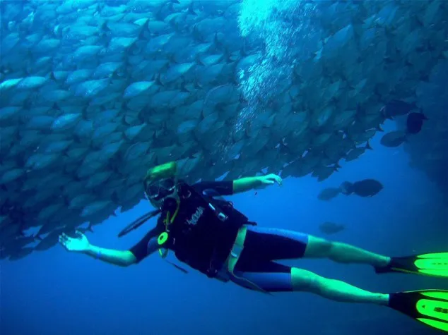 Flamingo Beach Resort Scuba