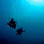 Diving the big blue
