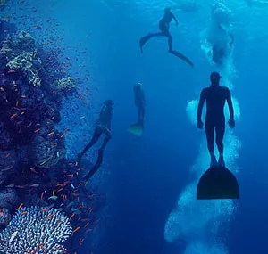 Freedive Costa Rica