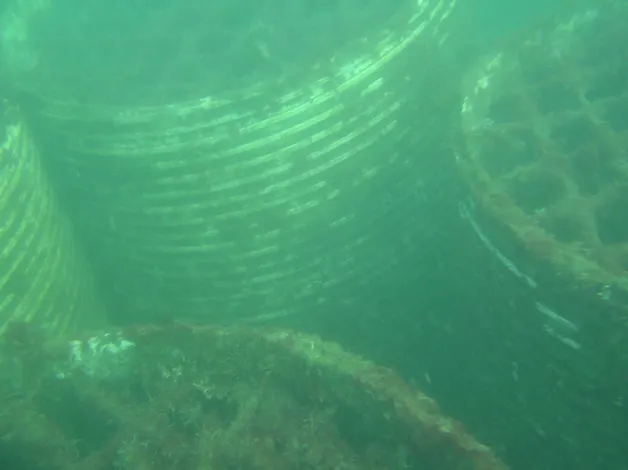 ArtificialReef