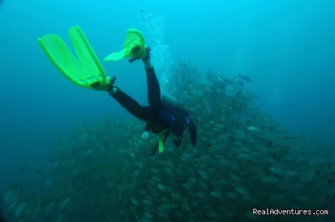 Diving 