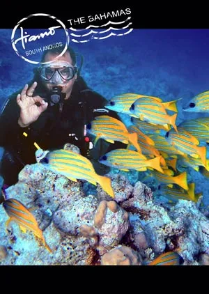 scuba-diving