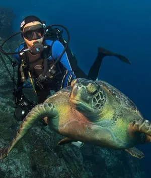 scuba-diving