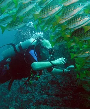 scuba