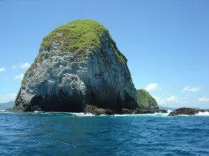 catalina-1-300x225