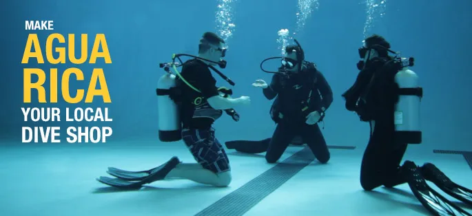 localdive