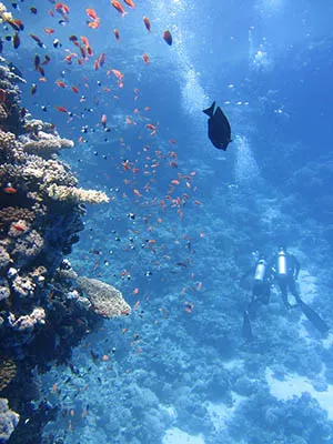 Scuba Diving a Reef in Costa Rica