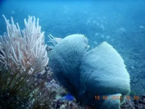 2ab648e799-dscn0601