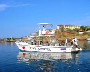 bote02