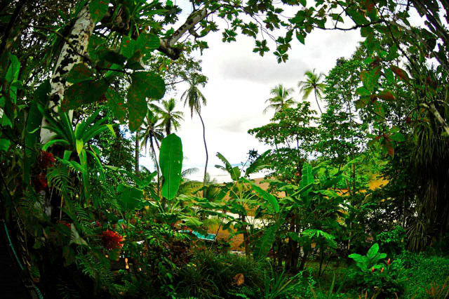 Pirate Cove – Your Chance to Explore the Pacific’s Charming Scuba Spots