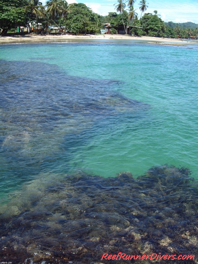 Reef Runner Divers