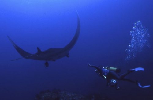 Scuba Diving in Costa Rica