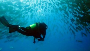 Scuba Diving in Costa Rica