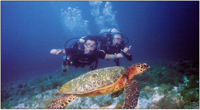 Scuba Diving Packages Costa Rica